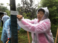 图片 79