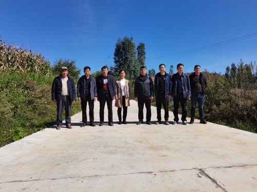 图片1