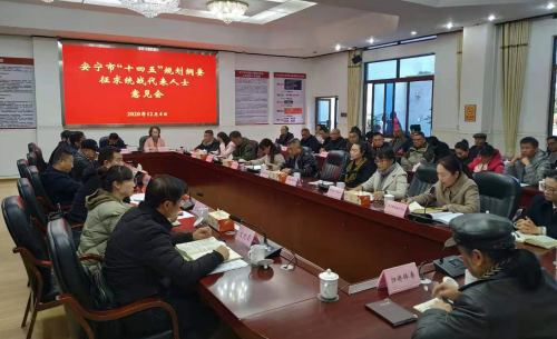 图片4