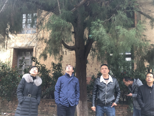 图片 7