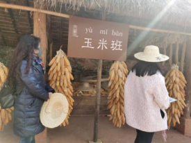 图片 11