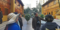 图片 11
