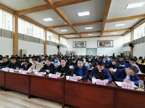 图片 12