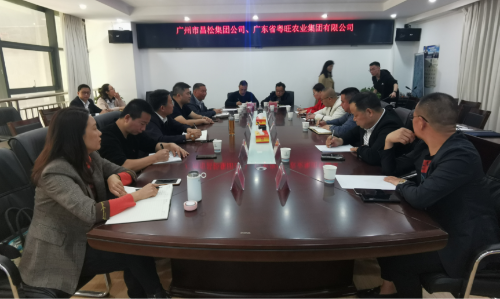 图片 12