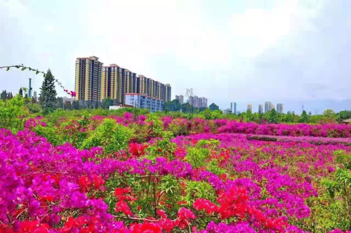 图片 3