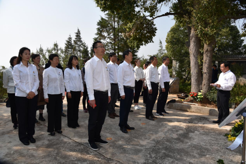 图片 12