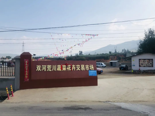 图片 4