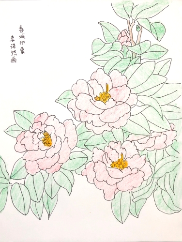 352-李诺然-春城印象-山茶花