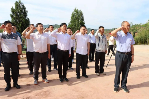 图片 9