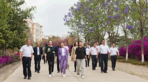 图片 1