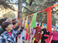 图片 5