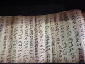 6（常皖云摄）