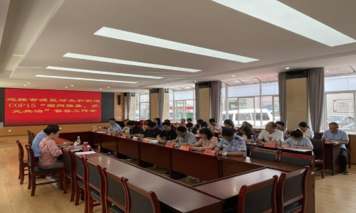 图片 3