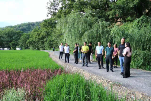 图片 32