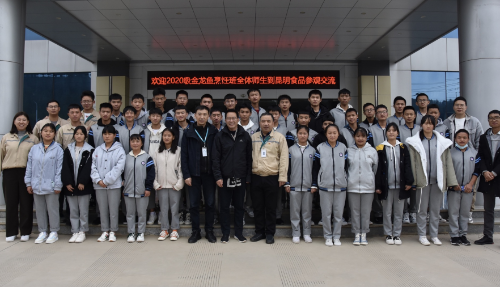 图片 12