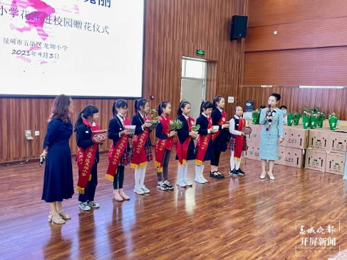 图片 5