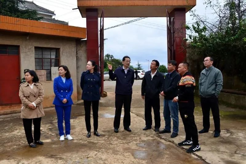 图片 19