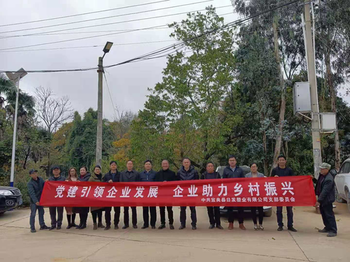图片 1
