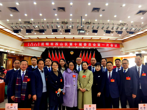 图片1