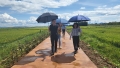 宝丰湿地2