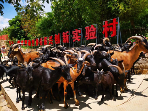 图片 4