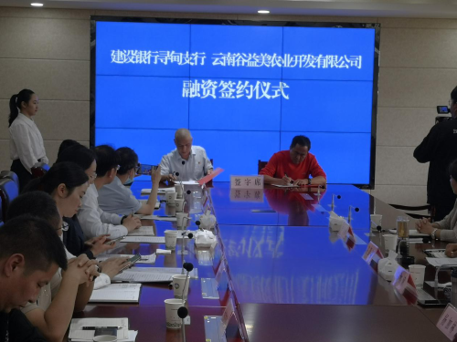 图片 2