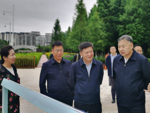图片 4