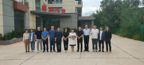图片 2