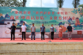 图片 3