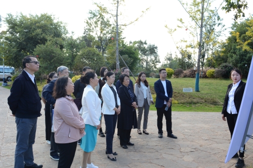 调研小渔村