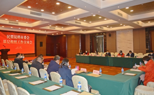 基层组织工作交流会