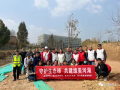 图片 3
