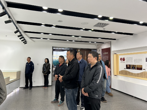 图片13