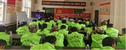 图片52