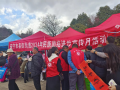 图片61