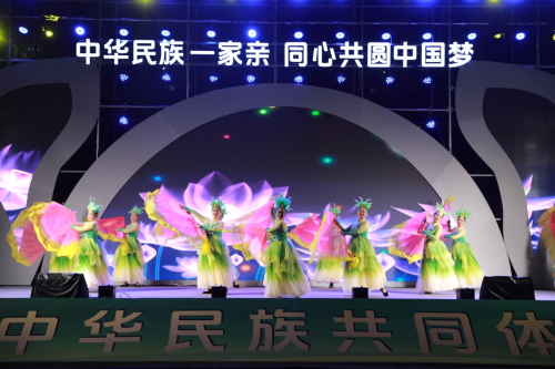 图片4