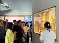 图片8