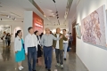 5.观展1