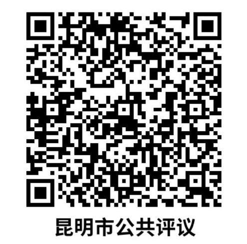 昆明评议