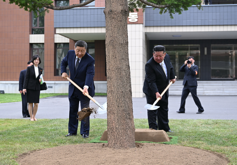 当地时间6月9日上午，中共中央总书记、国家主席习近平在朝鲜劳动党总书记、国务委员长金正恩陪同下，参访位于平壤的朝鲜劳动党中央干部学校。这是在教学楼之间的林地上，习近平和金正恩共同种下一株枞树。