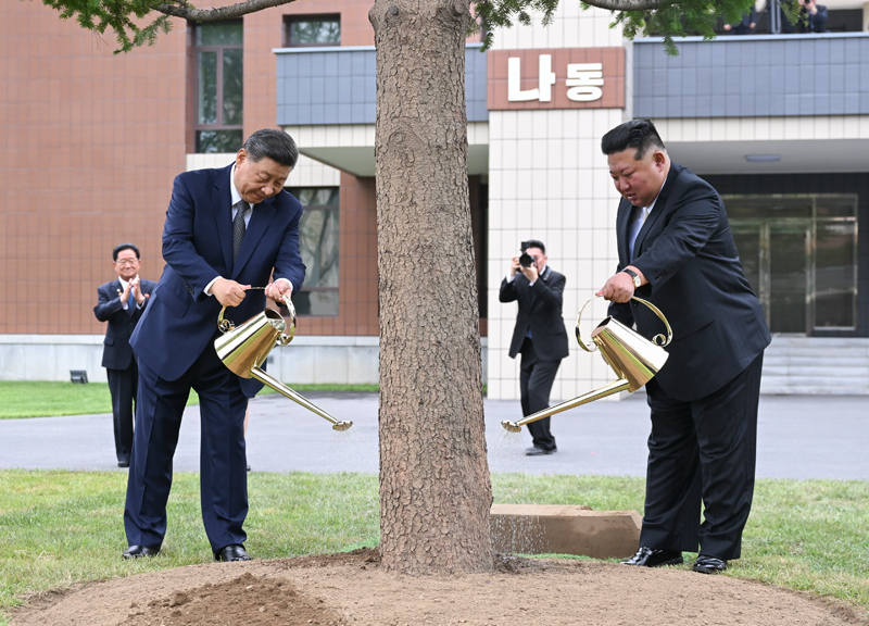 当地时间6月9日上午，中共中央总书记、国家主席习近平在朝鲜劳动党总书记、国务委员长金正恩陪同下，参访位于平壤的朝鲜劳动党中央干部学校。这是在教学楼之间的林地上，习近平和金正恩共同种下一株枞树.
